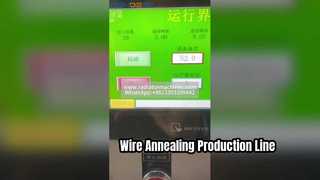 Linea di produzione automatica ad alta efficienza per ricottura e trattamento termico del filo | Soluzione metallica industriale